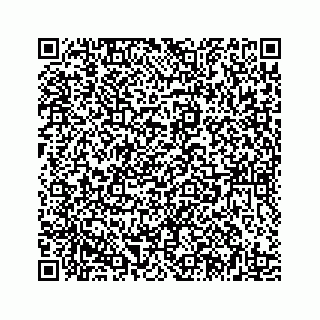 vCard 78185433138