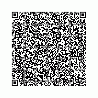 vCard 78185433141