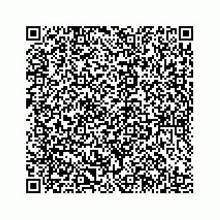 vCard 78185433176