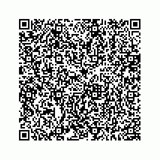 vCard 78185433200