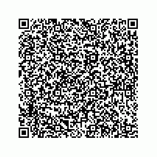 vCard 78185433241