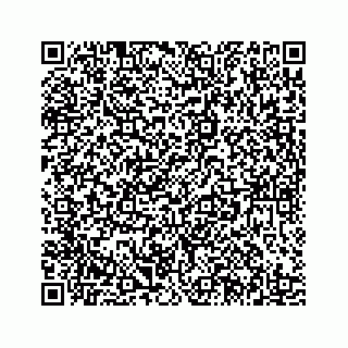 vCard 78185433291