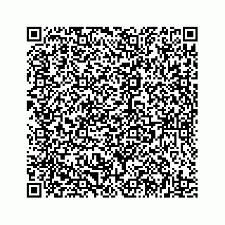 vCard 78185433358
