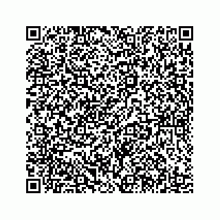 vCard 78185433374