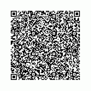 vCard 78185433378