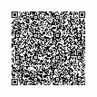 vCard 78185433383