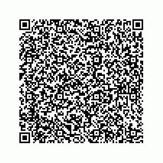 vCard 78185433501