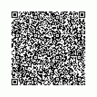 vCard 78185433587