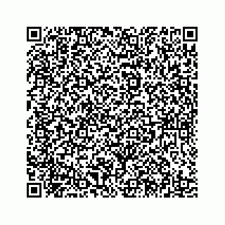 vCard 78185433714