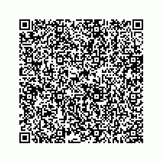 vCard 78185433870