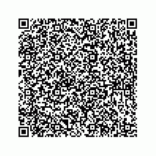vCard 78185433880