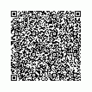 vCard 78185433903