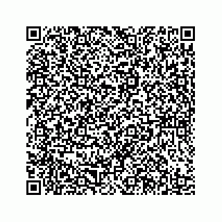 vCard 78185436353