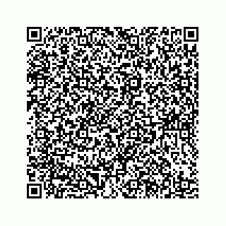 vCard 78185438133
