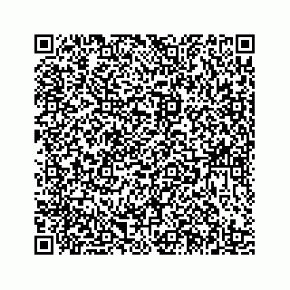 vCard 78185438821