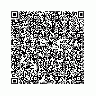 vCard 78185438859