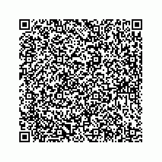 vCard 78185438881