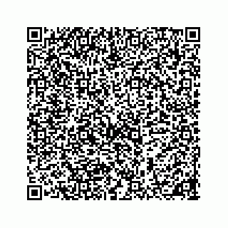 vCard 78185438989