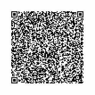 vCard 78185439113