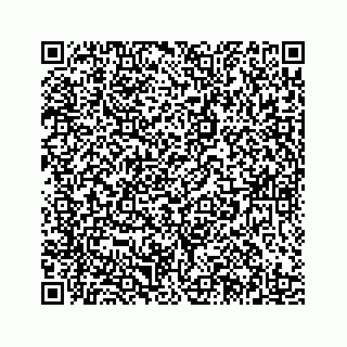 vCard 78185439771