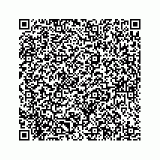 vCard 78185439776