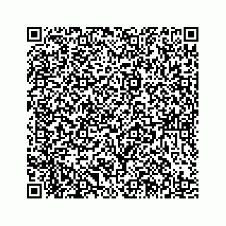 vCard 78185439913