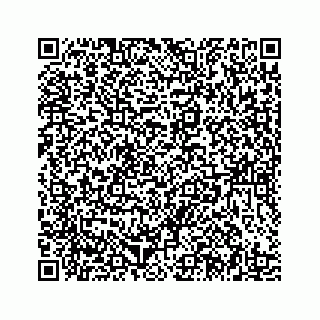 vCard 78185439919