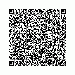 vCard 78185439951