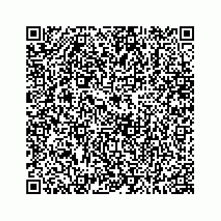 vCard 78185470100