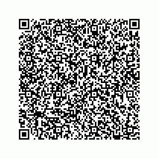 vCard 78185540399
