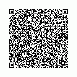 vCard 78185554100