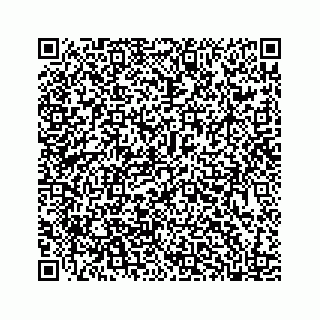 vCard 78185554131