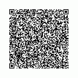 vCard 78185554133