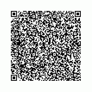 vCard 78185554139
