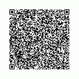 vCard 78185554173