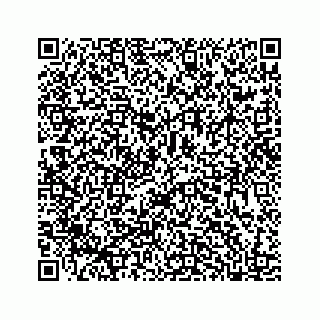vCard 78185554195
