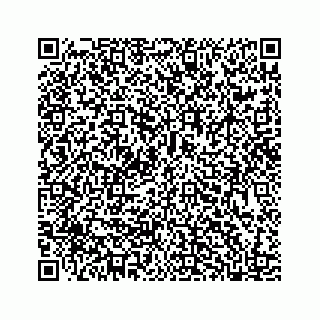 vCard 78185554196