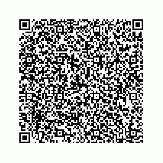 vCard 78185554291