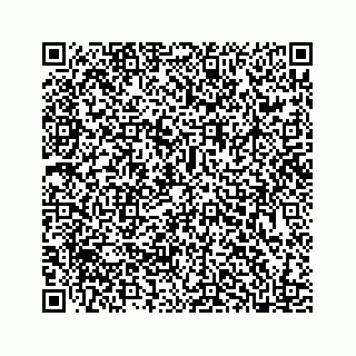 vCard 78185554295