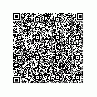 vCard 78185744100