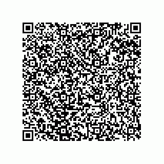 vCard 78185744387
