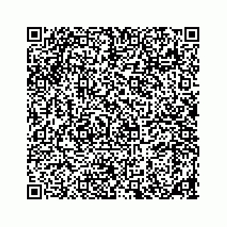 vCard 78185826213
