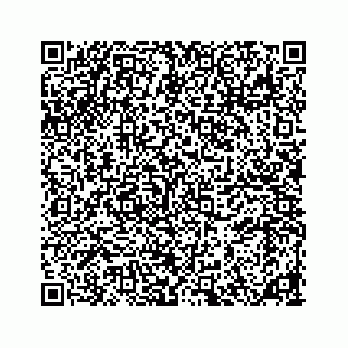 vCard 78185826287