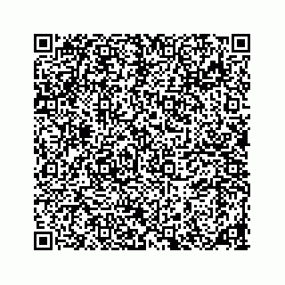 vCard 78185826295