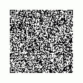 vCard 78185826311