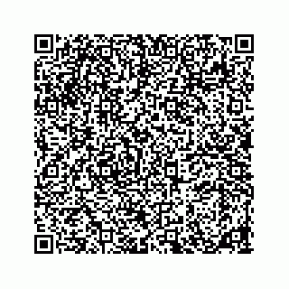 vCard 78185826313