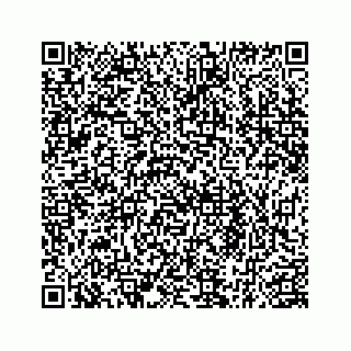 vCard 78185826329