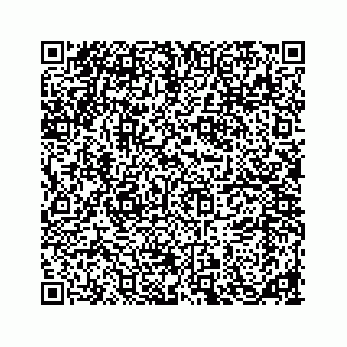 vCard 78185833337