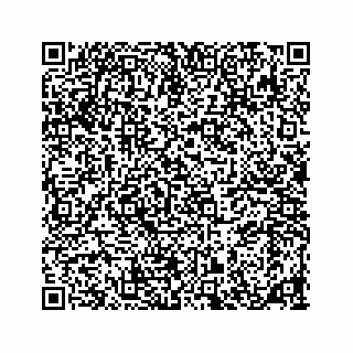 vCard 78185838110