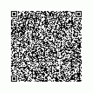 vCard 78185838111